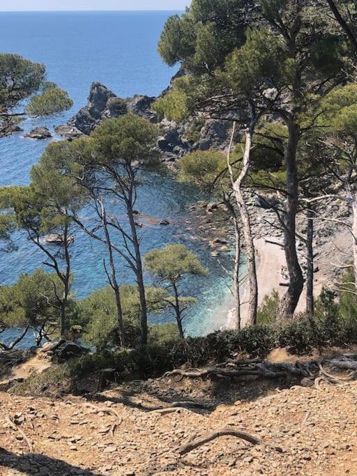 Petite Endroit Splendide. Appartement Six-Fours-les-Plages Buitenkant foto