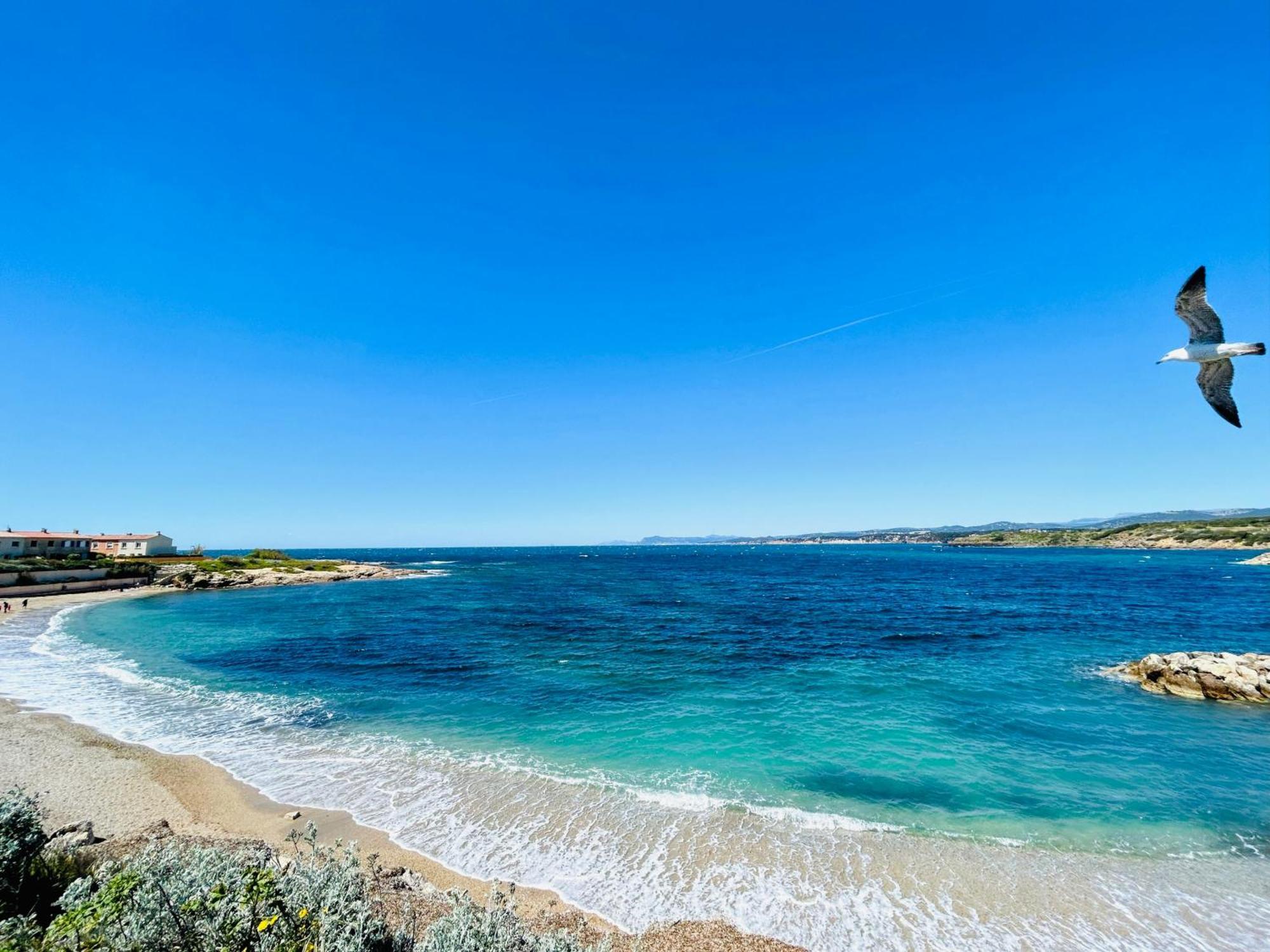 Petite Endroit Splendide. Appartement Six-Fours-les-Plages Buitenkant foto